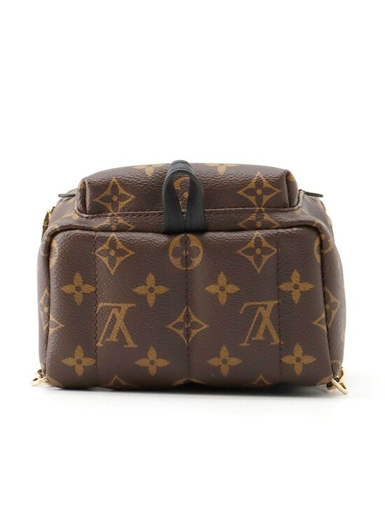 Louis Vuitton Monogram Palm Springs Backpack Mini Bag main image 4
